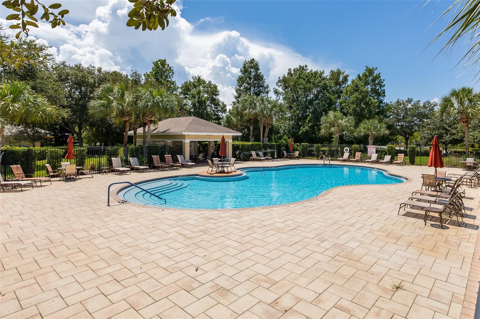 2220 Parrot Fish Dr Property Photo 41