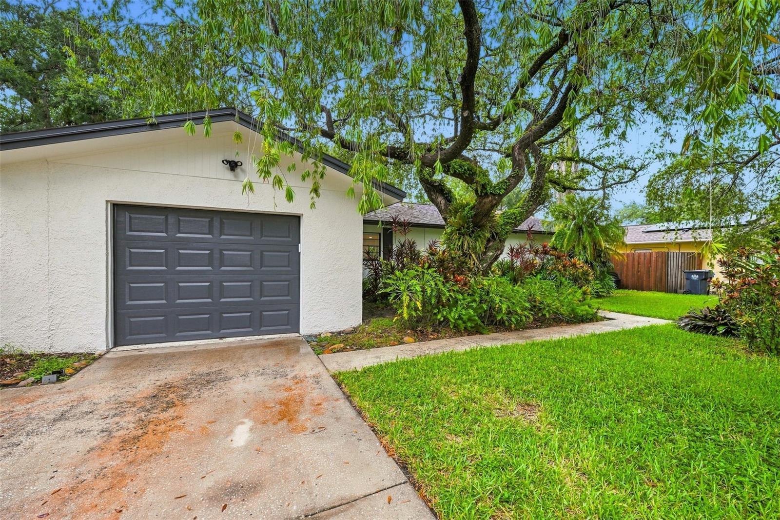 817 Ambassador Loop Property Photo 1