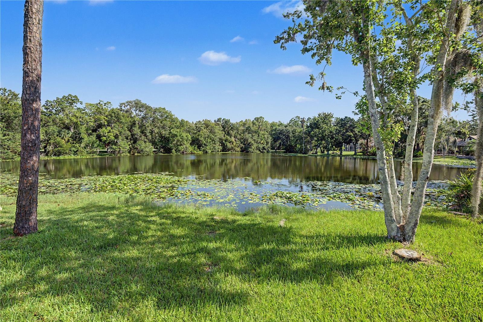 35 Greenhaven Trl Property Photo 63