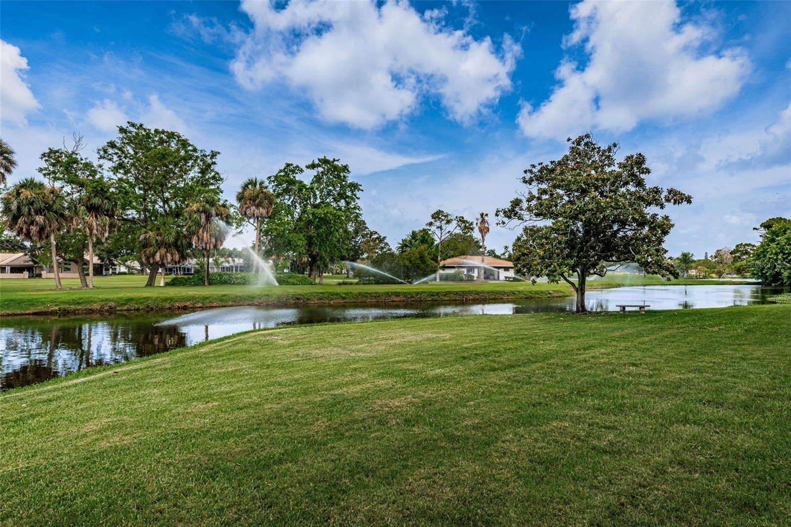 6100 Gulfport Blvd S #405 Property Photo 48