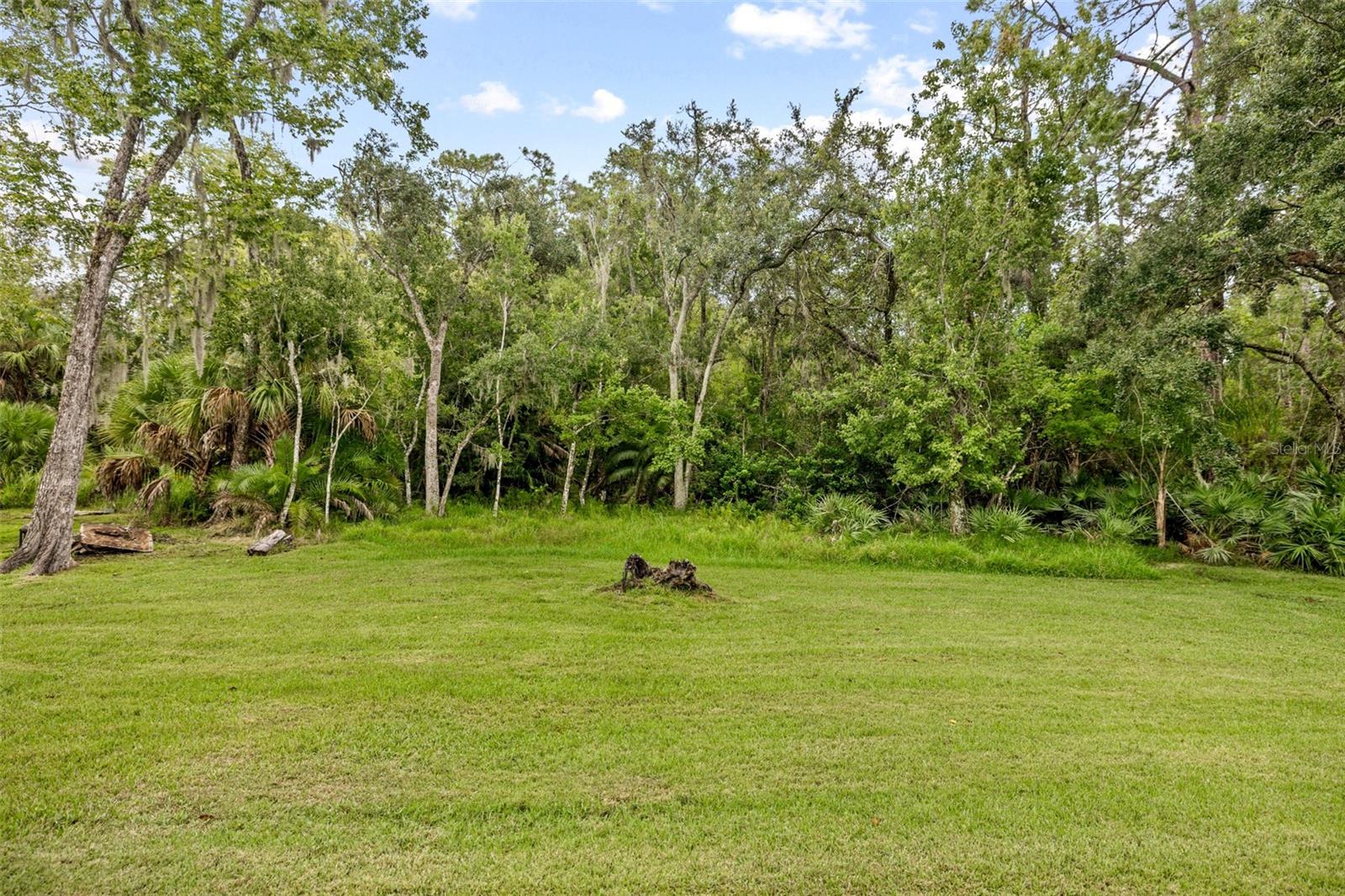 15713 Muirfield Dr Property Photo 38