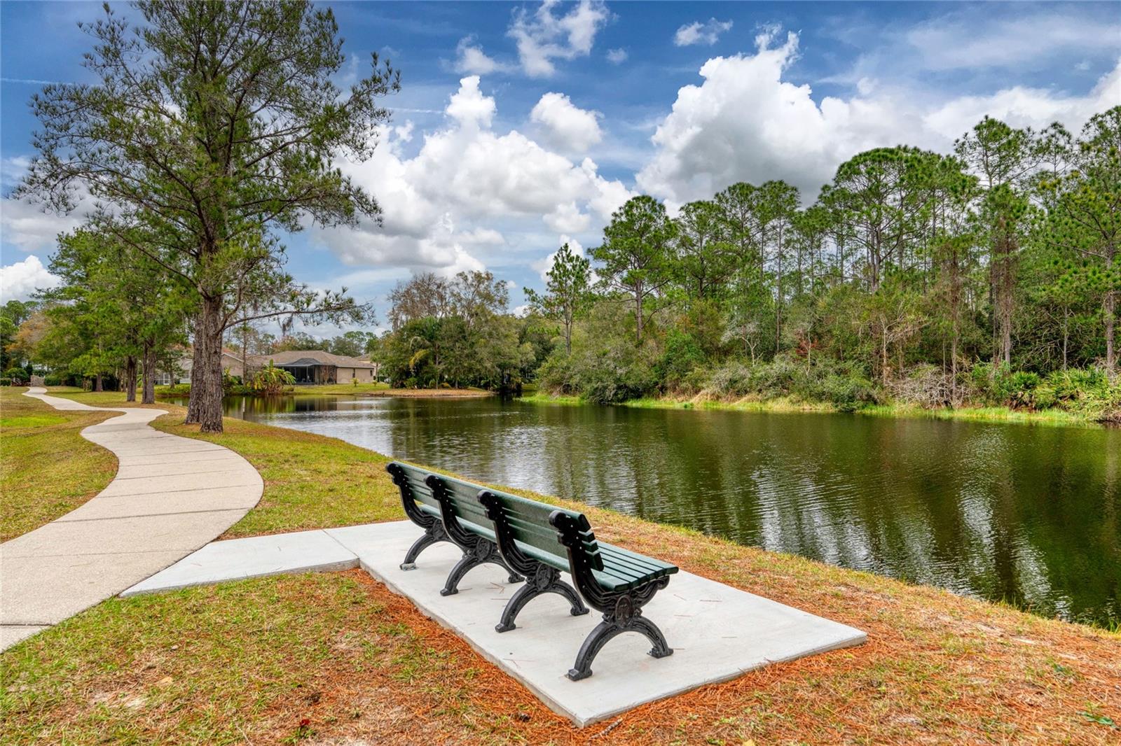 16306 Wild Mallard Dr Property Photo 42