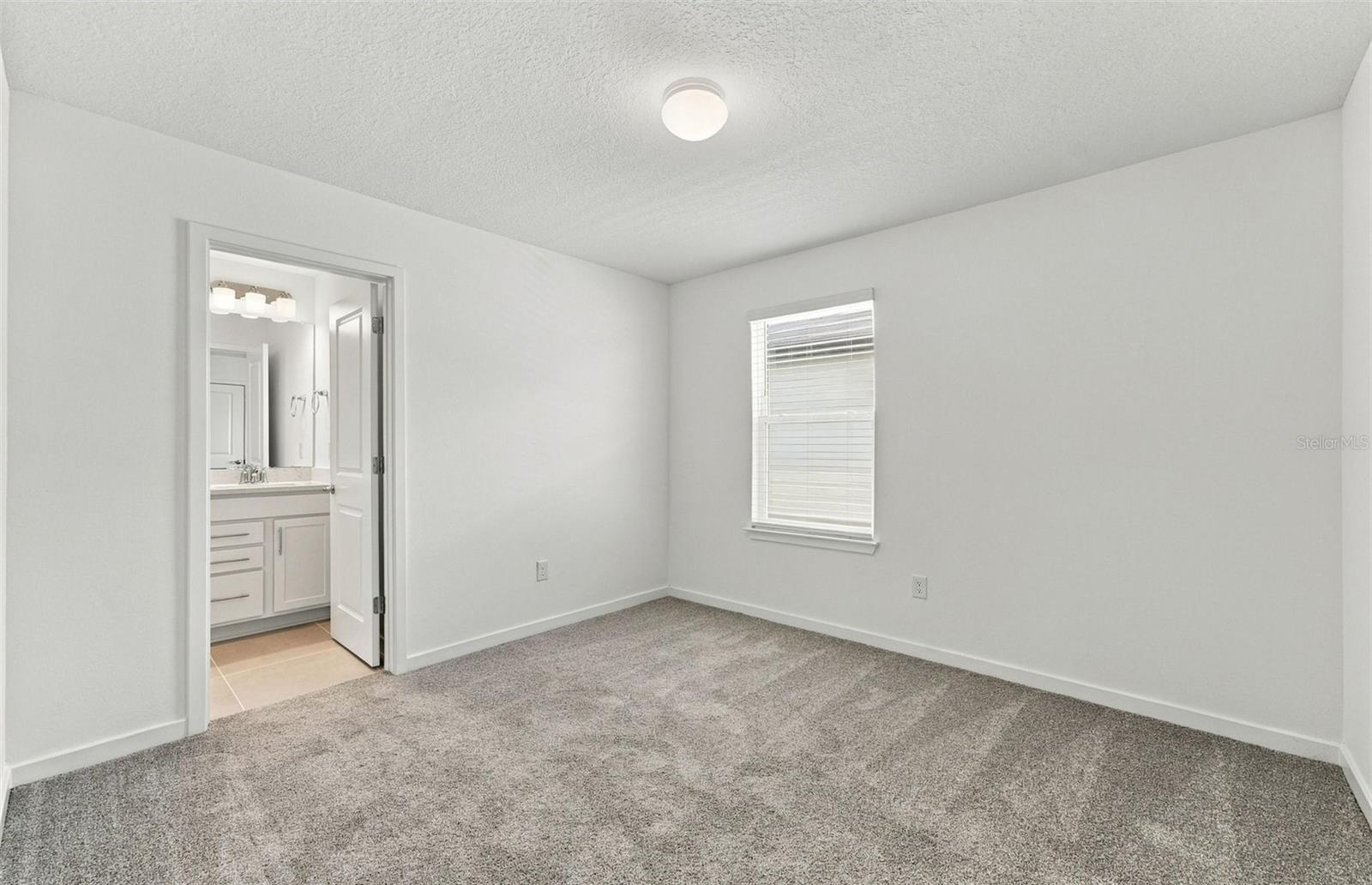 33506 Barnebrook Dr Property Photo 15