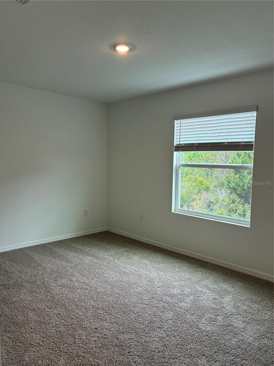 32519 Midsummer Night Ln Property Photo 15
