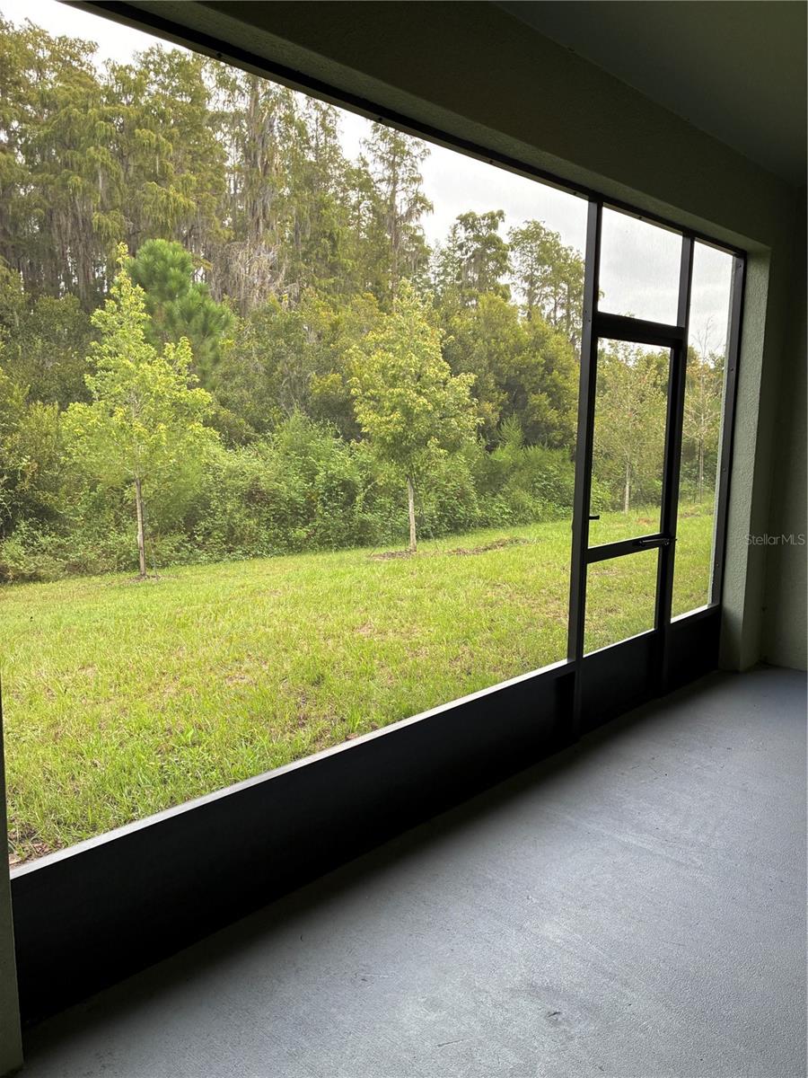32519 Midsummer Night Ln Property Photo 30