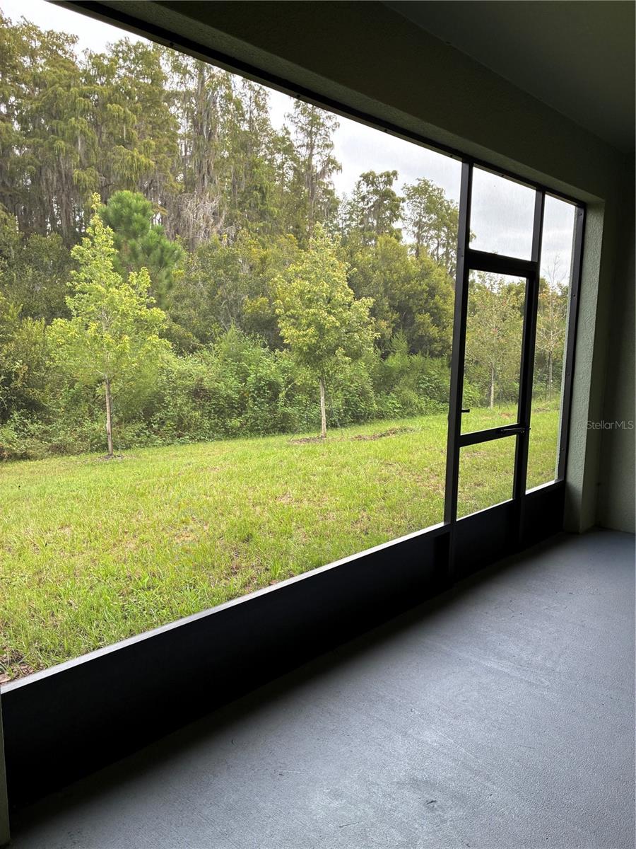 32519 Midsummer Night Ln Property Photo 31