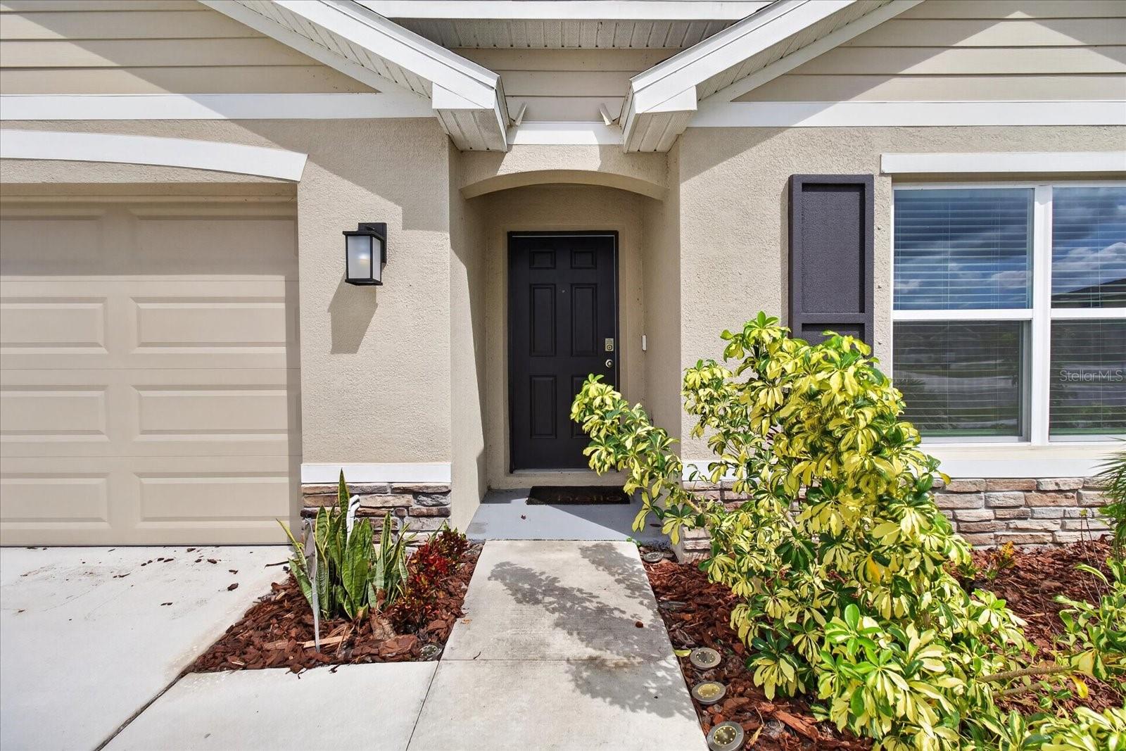 3084 Living Coral St Property Photo 2