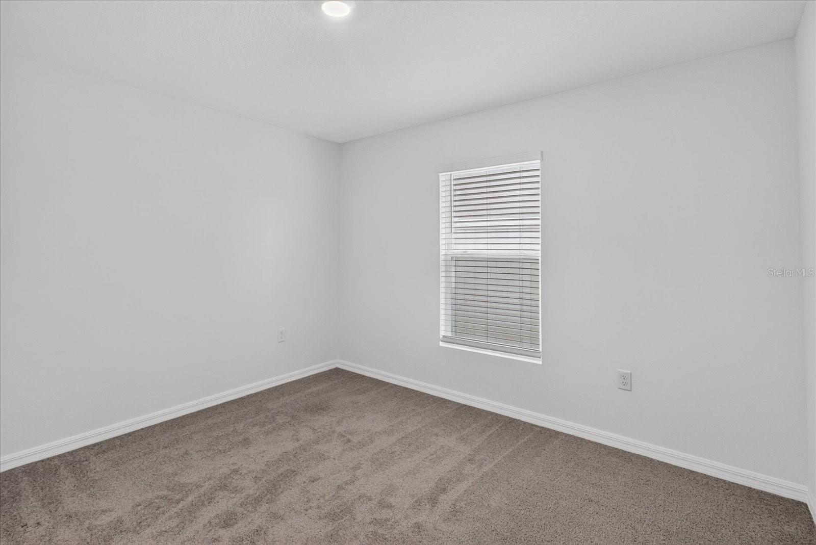 3084 Living Coral St Property Photo 21