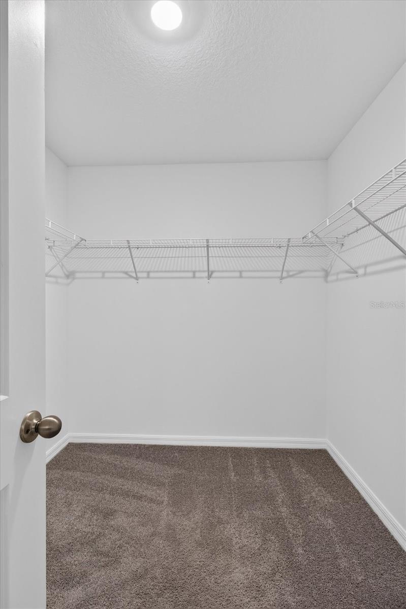 3084 Living Coral St Property Photo 31