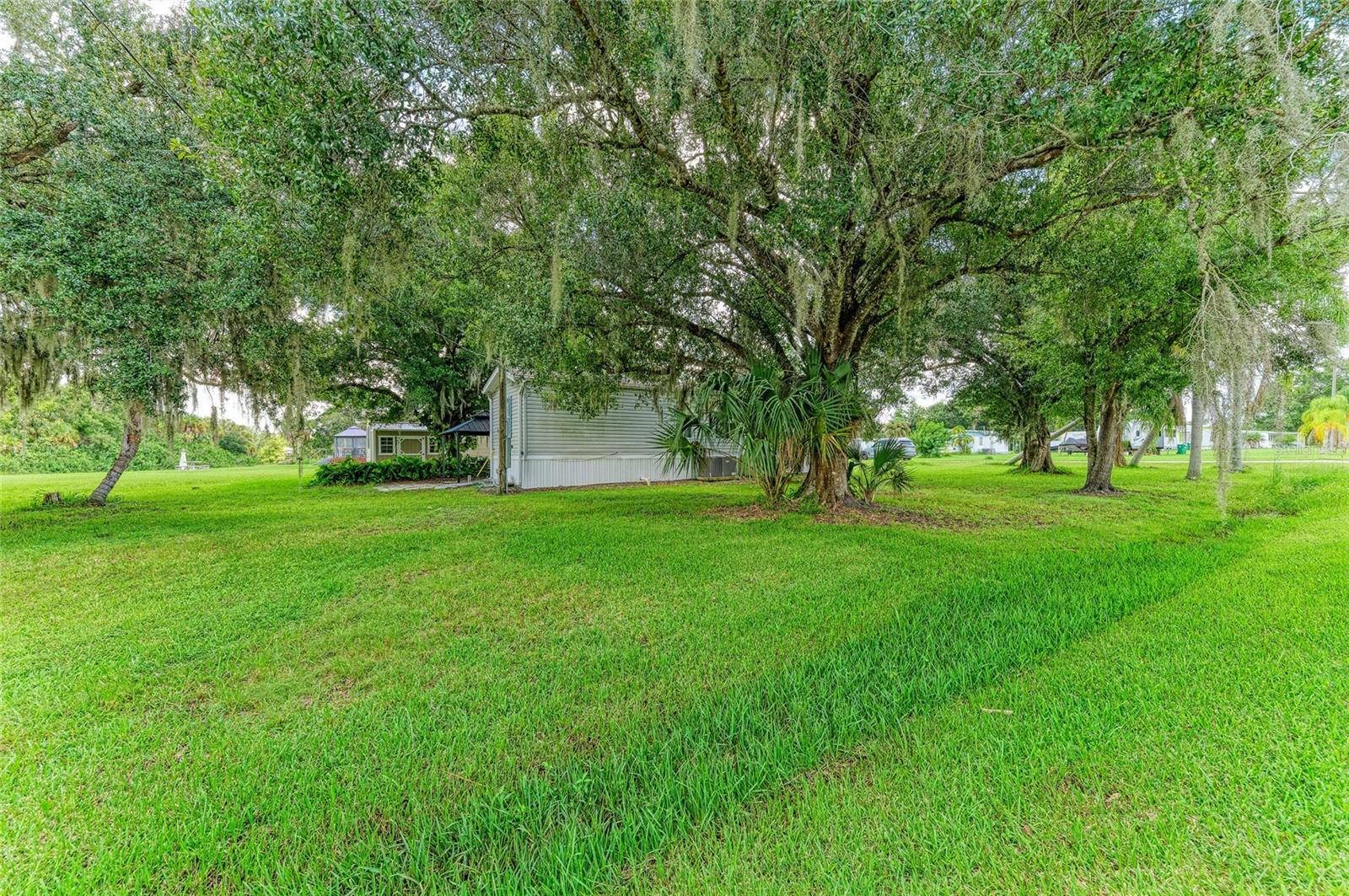 35920 Hilnick Dr Property Photo 19