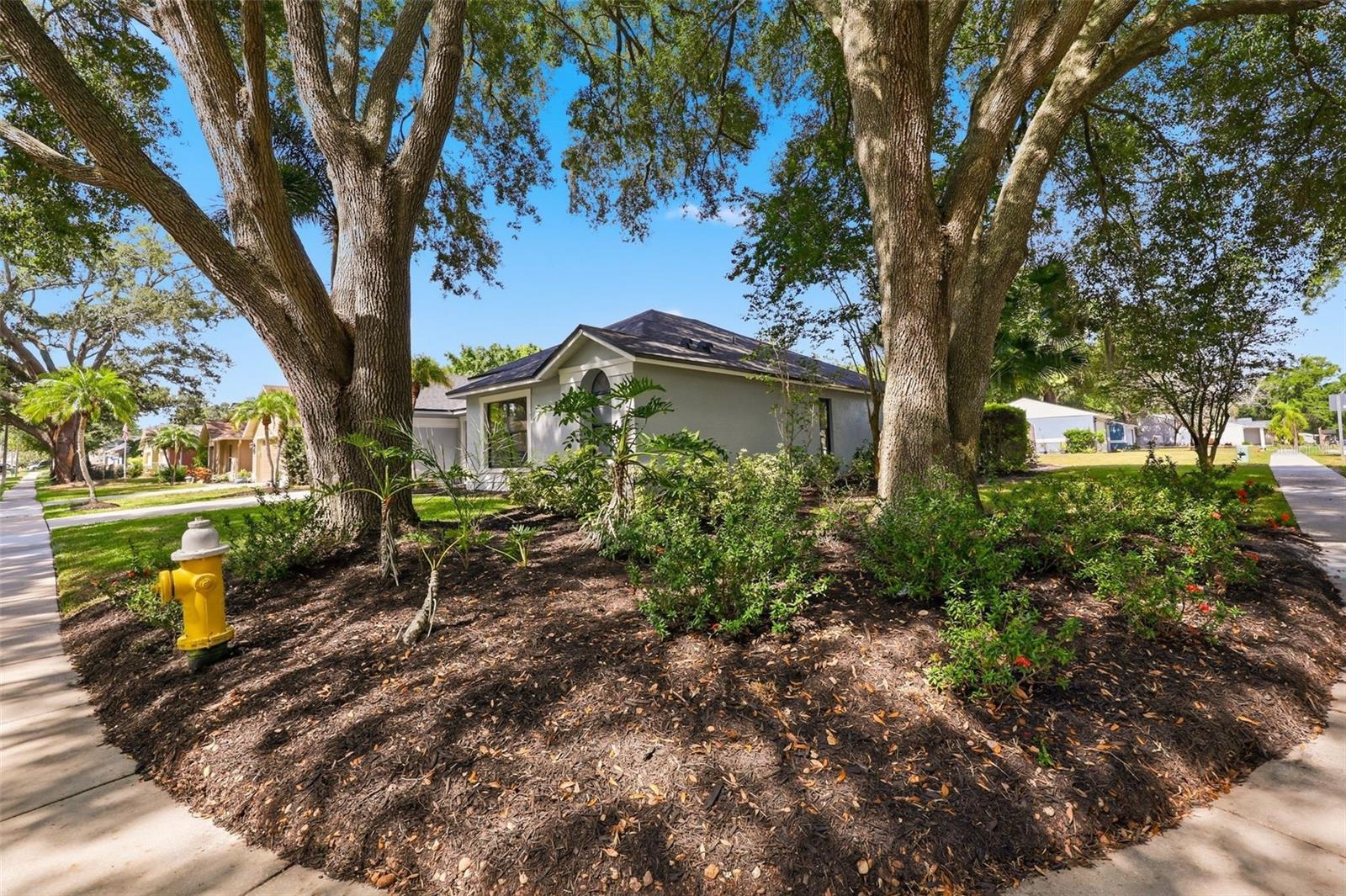 3040 Windridge Oaks Dr Property Photo 35