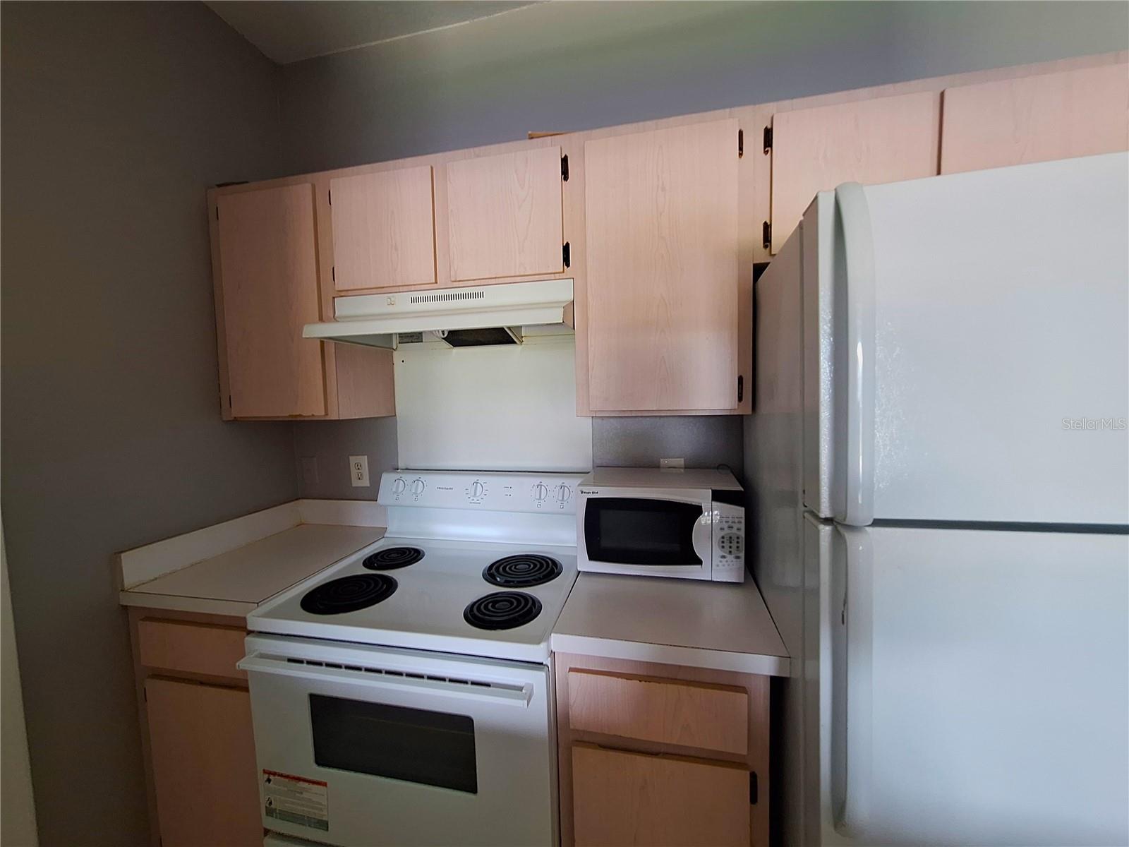 12906 Sanctuary Cove Dr #304 Property Photo 4
