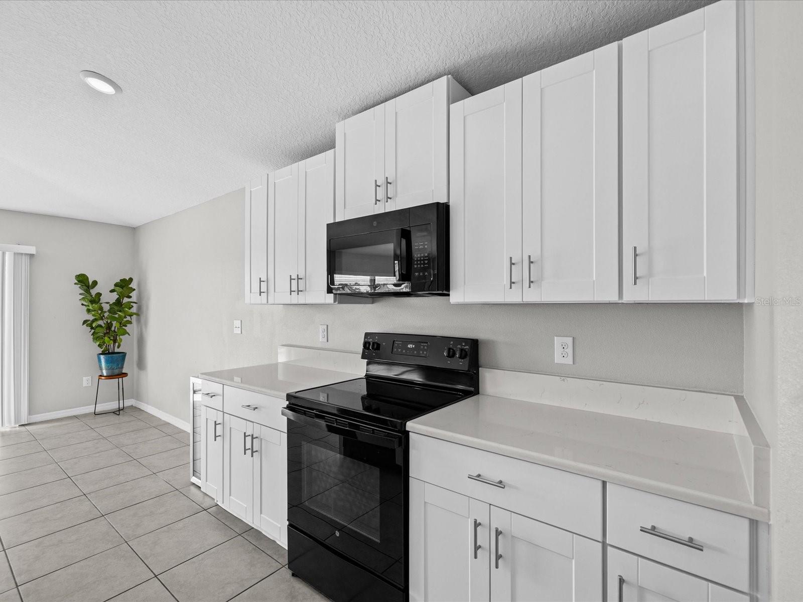 15416 Wicked Strong St Property Photo 13