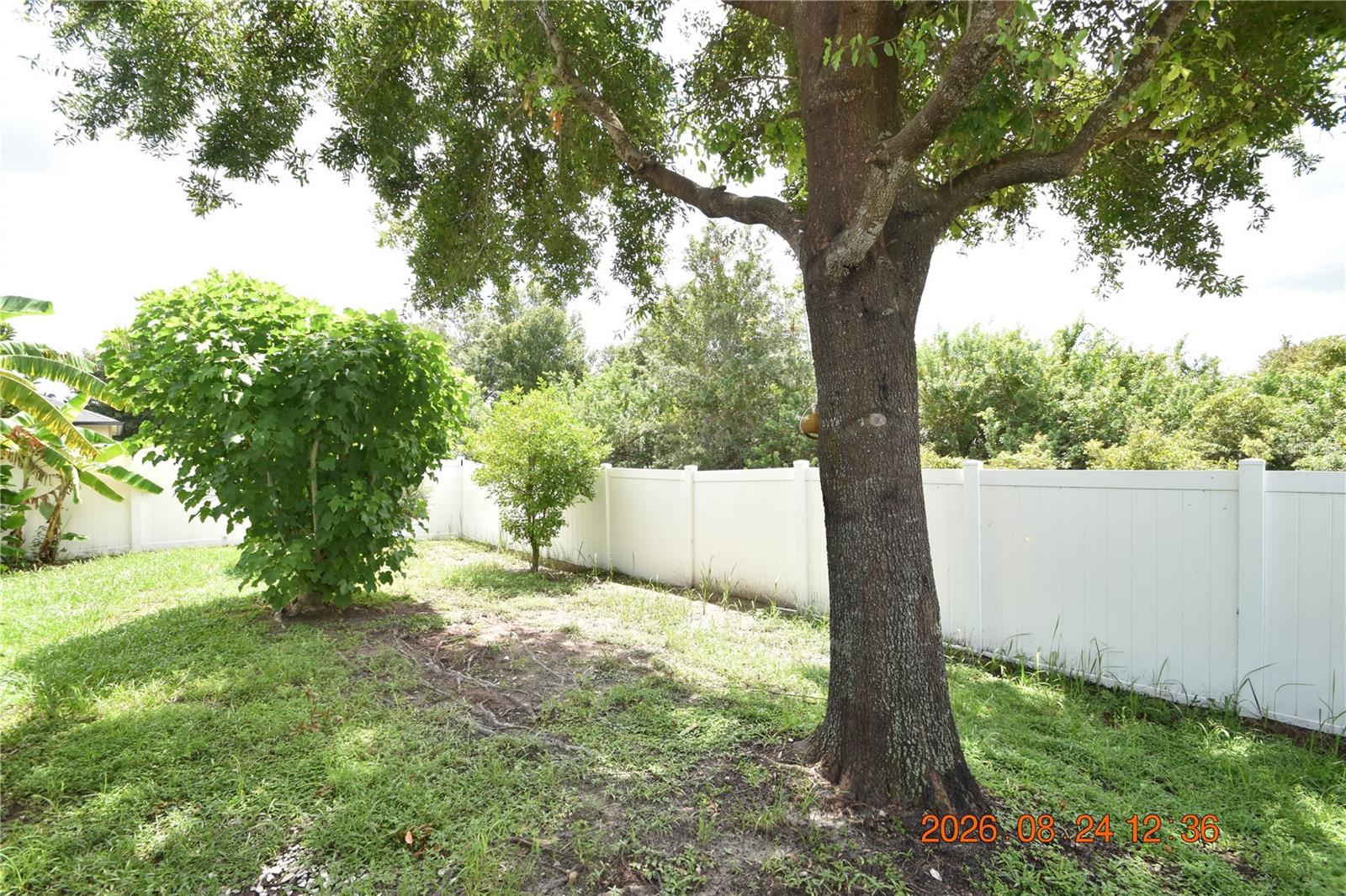 11405 Flora Springs Dr Property Photo 62