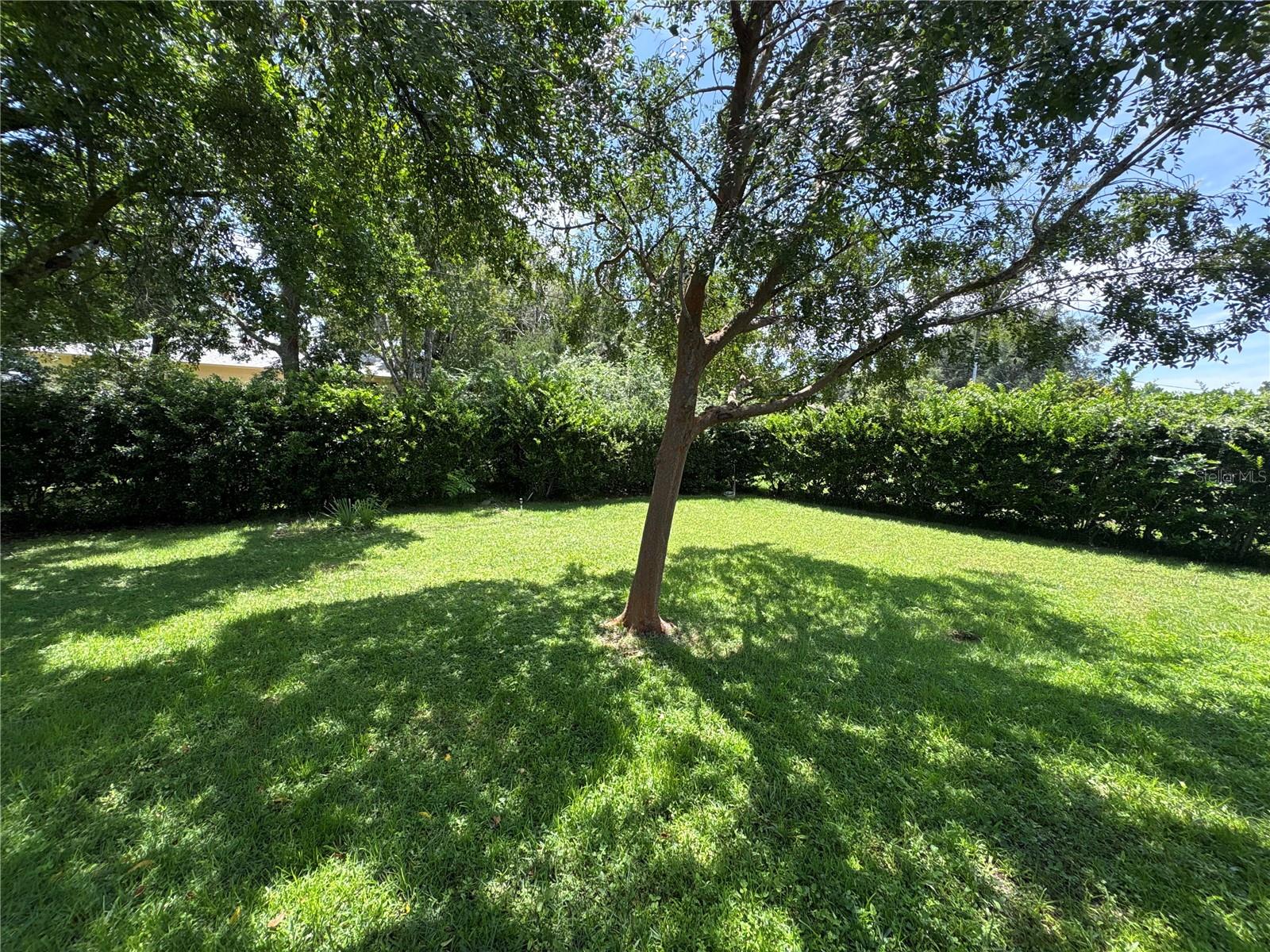 3123 N Maidencane Dr Property Photo 3
