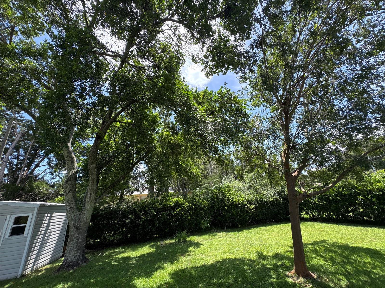 3123 N Maidencane Dr Property Photo 60