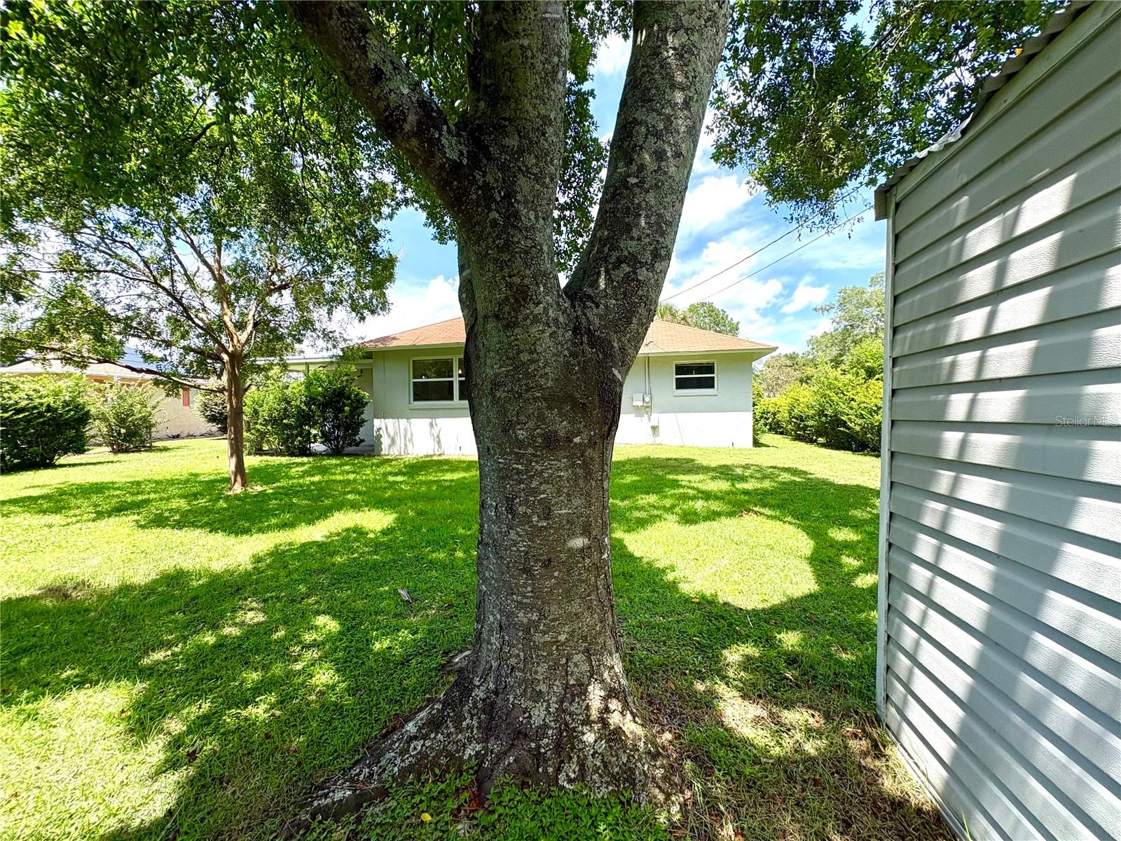 3123 N Maidencane Dr Property Photo 70