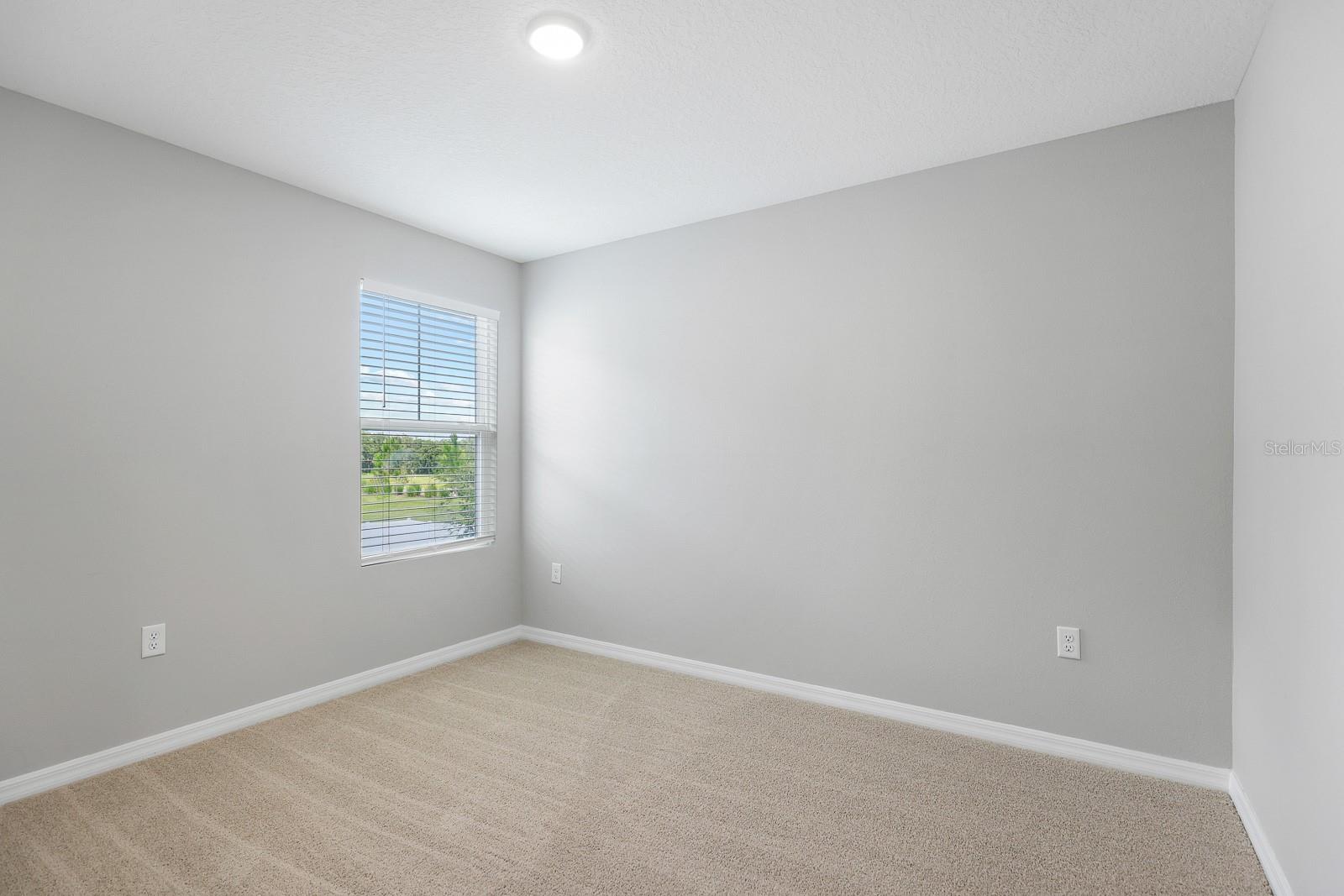 12894 French Market Dr Property Photo 28