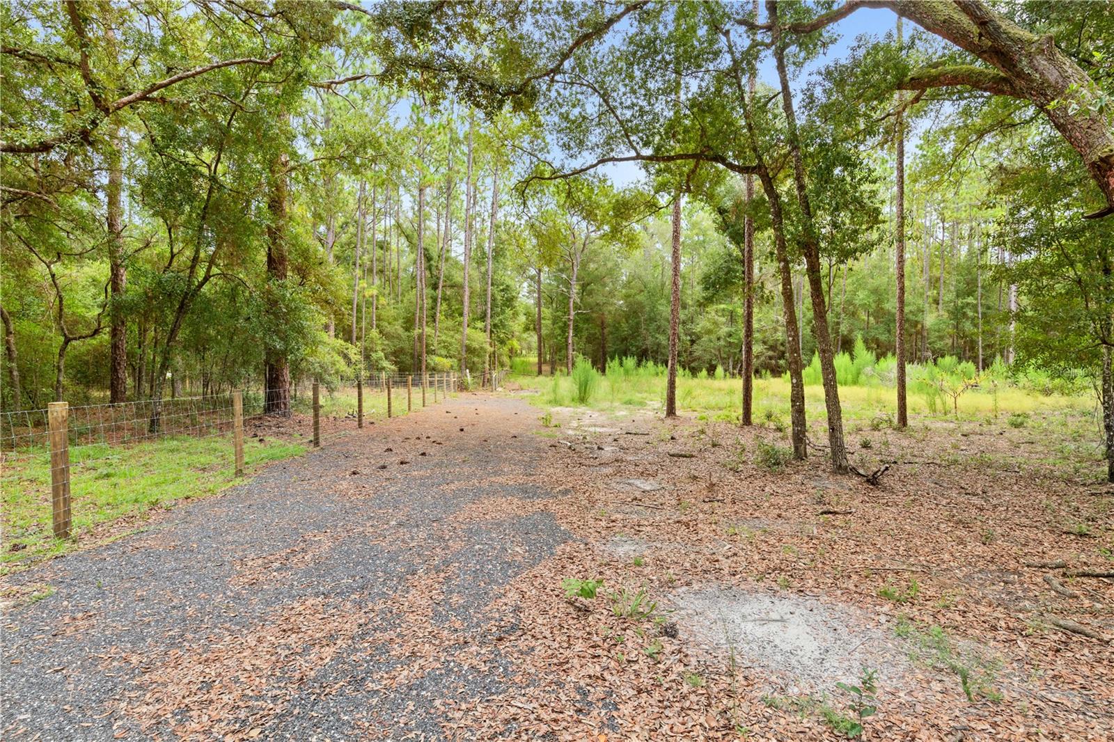 0 Shaver Dr Property Photo 1