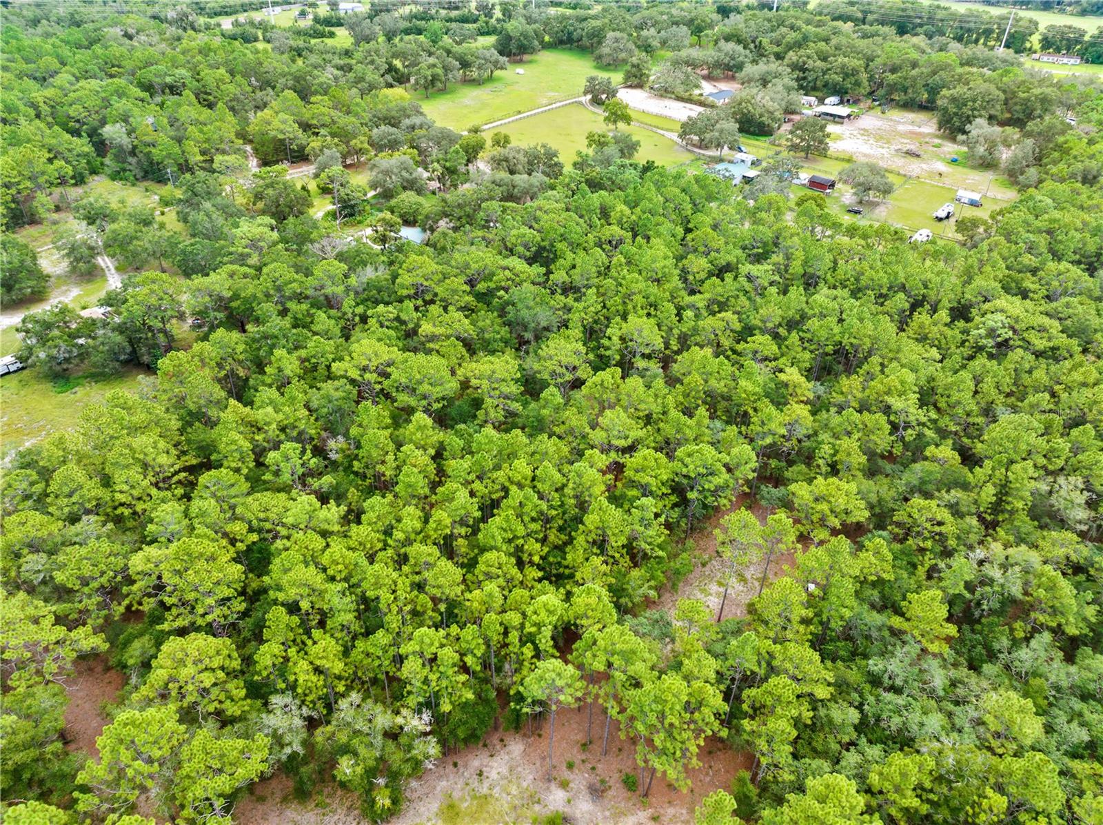 0 Shaver Dr Property Photo 2