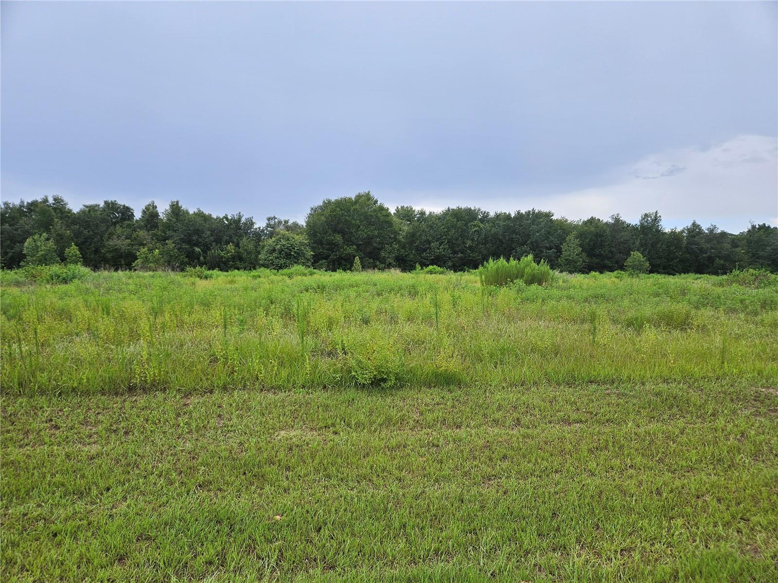 8881 VALERIE CT Property Photo 1