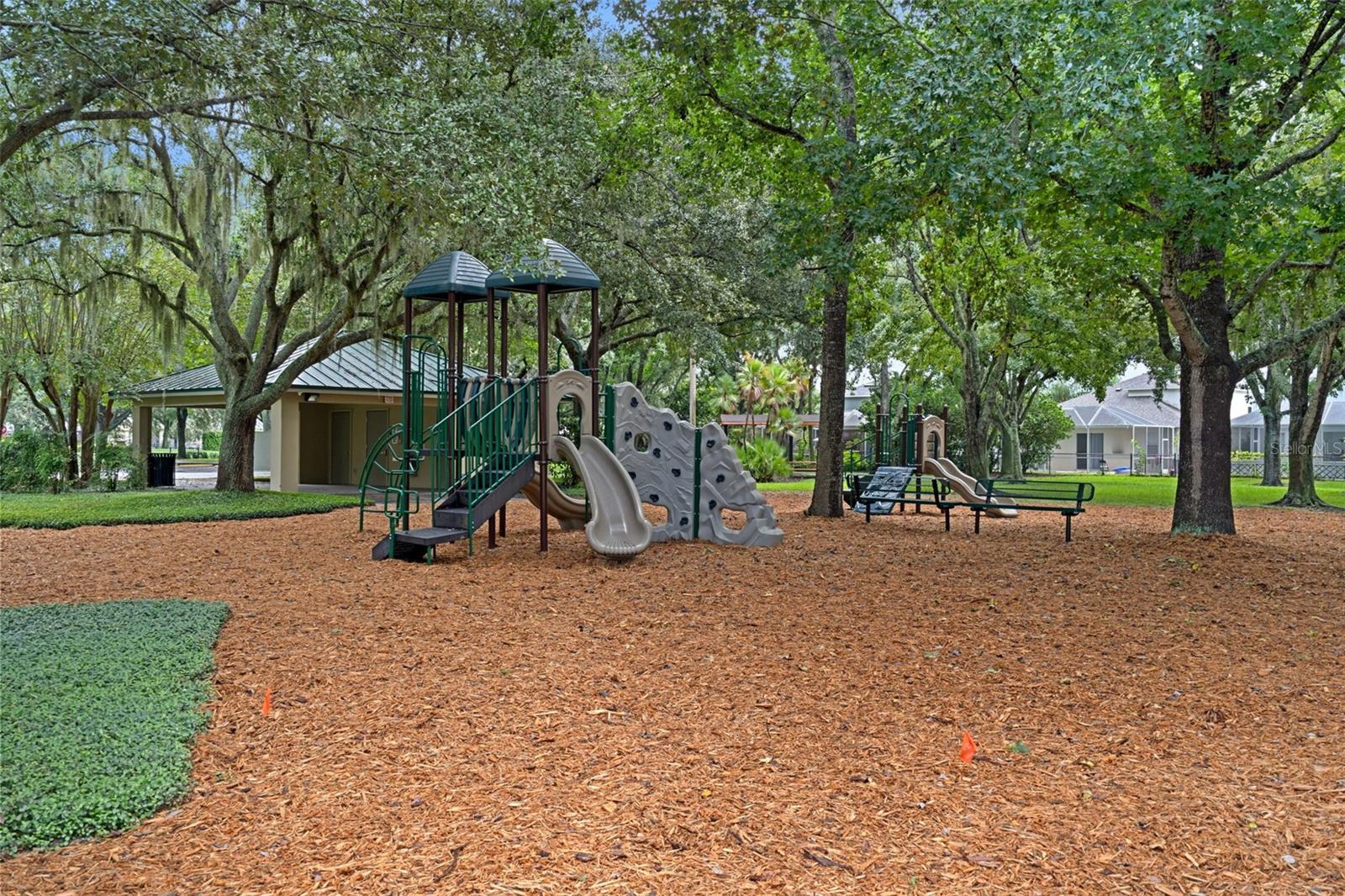 2313 Edelweiss Loop Property Photo 48