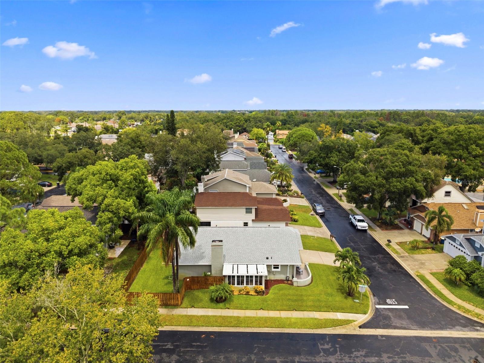 2234 Springflower Dr. Property Photo 43