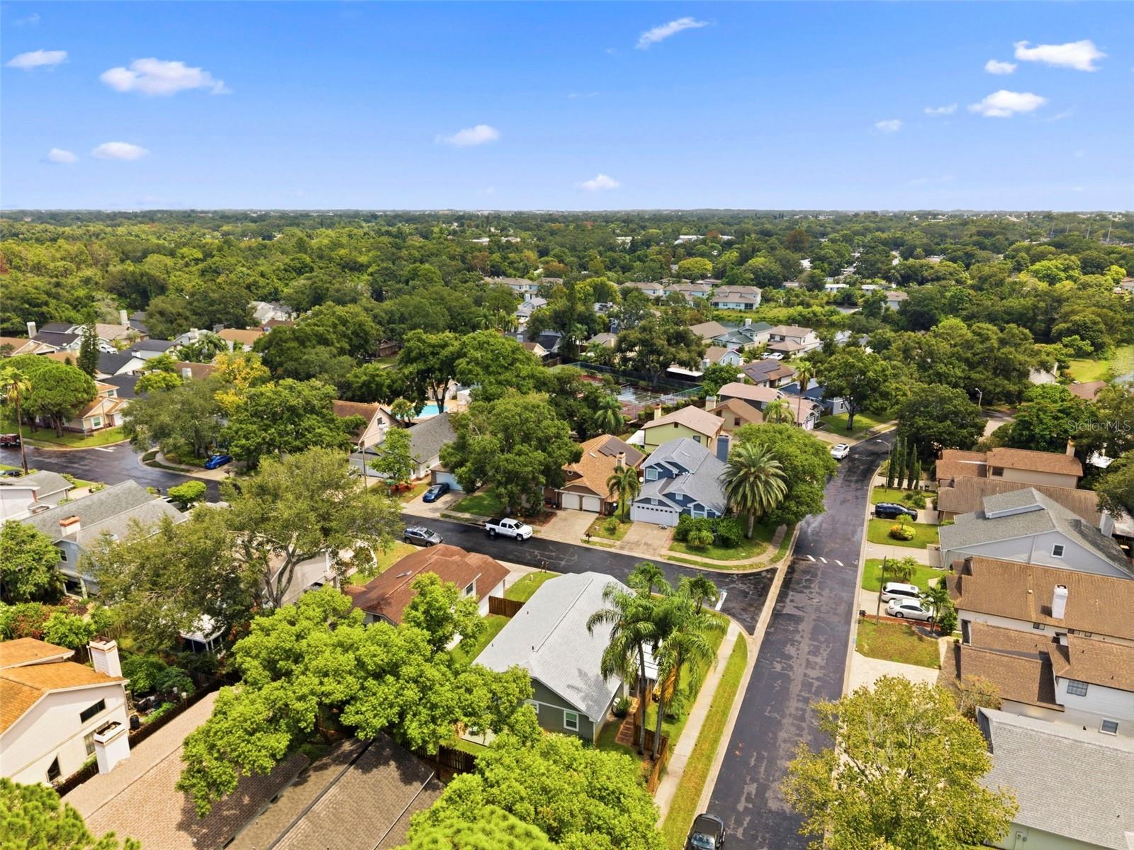 2234 Springflower Dr. Property Photo 55