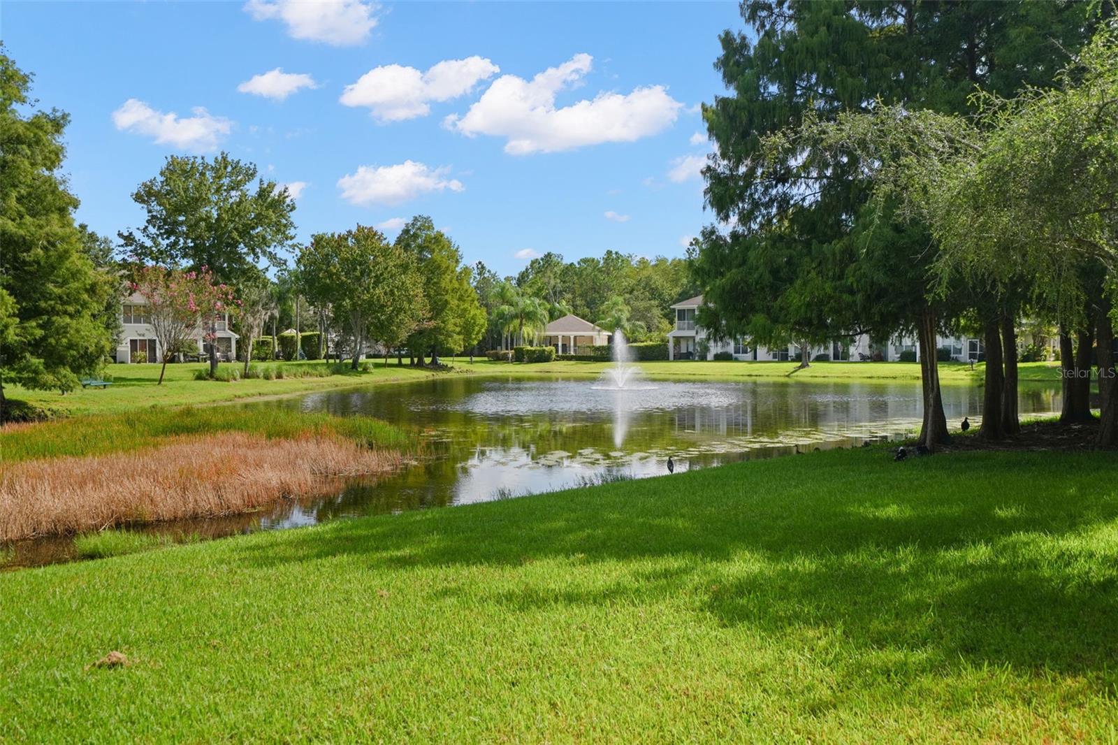14020 Waterville Cir Property Photo 5