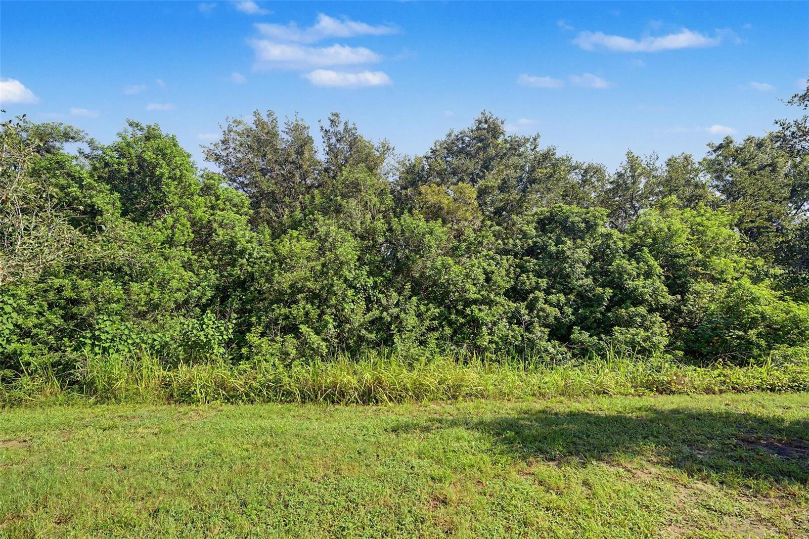 9706 Pembrooke Pines Dr Property Photo 29