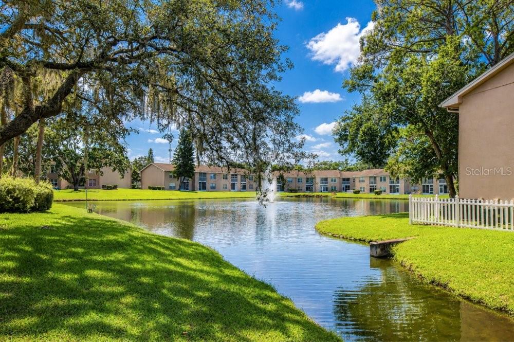4925 Myrtle Oak Dr #25 Property Photo 74