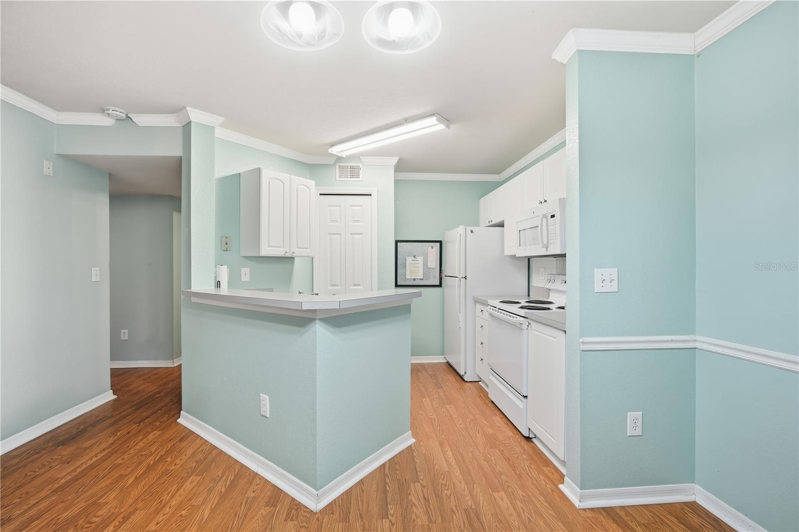 4201 Woodstorks Walk Way #3111 Property Photo 9