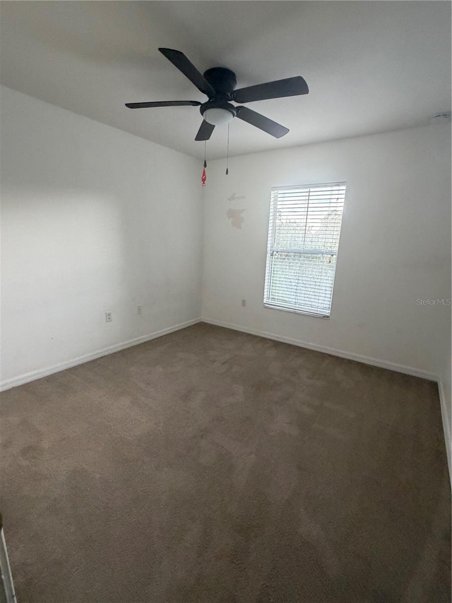 4533 Limerick Dr Property Photo 8