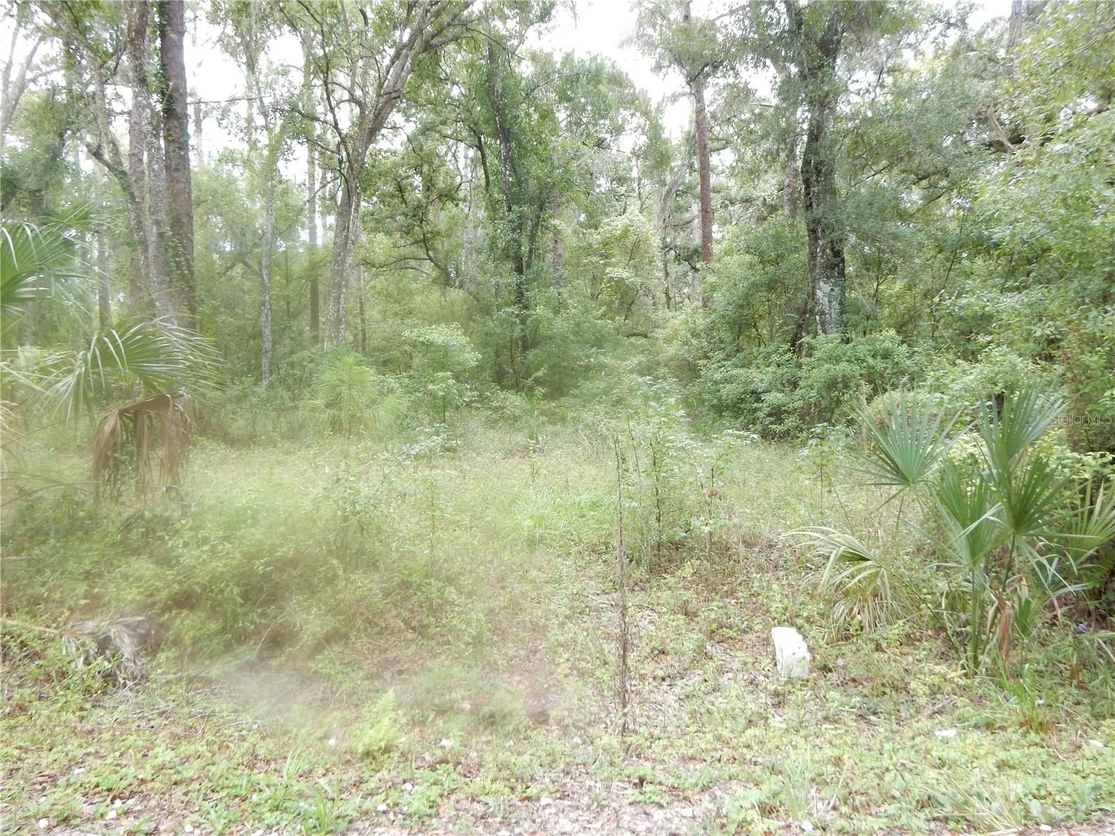 Central Ave Property Photo 1