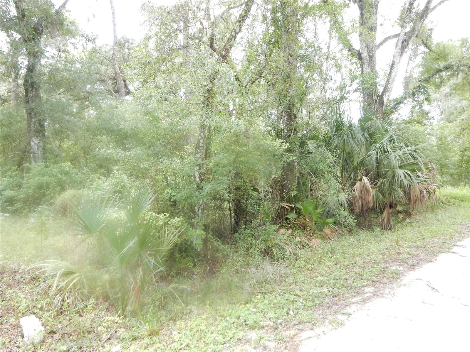 Central Ave Property Photo 3
