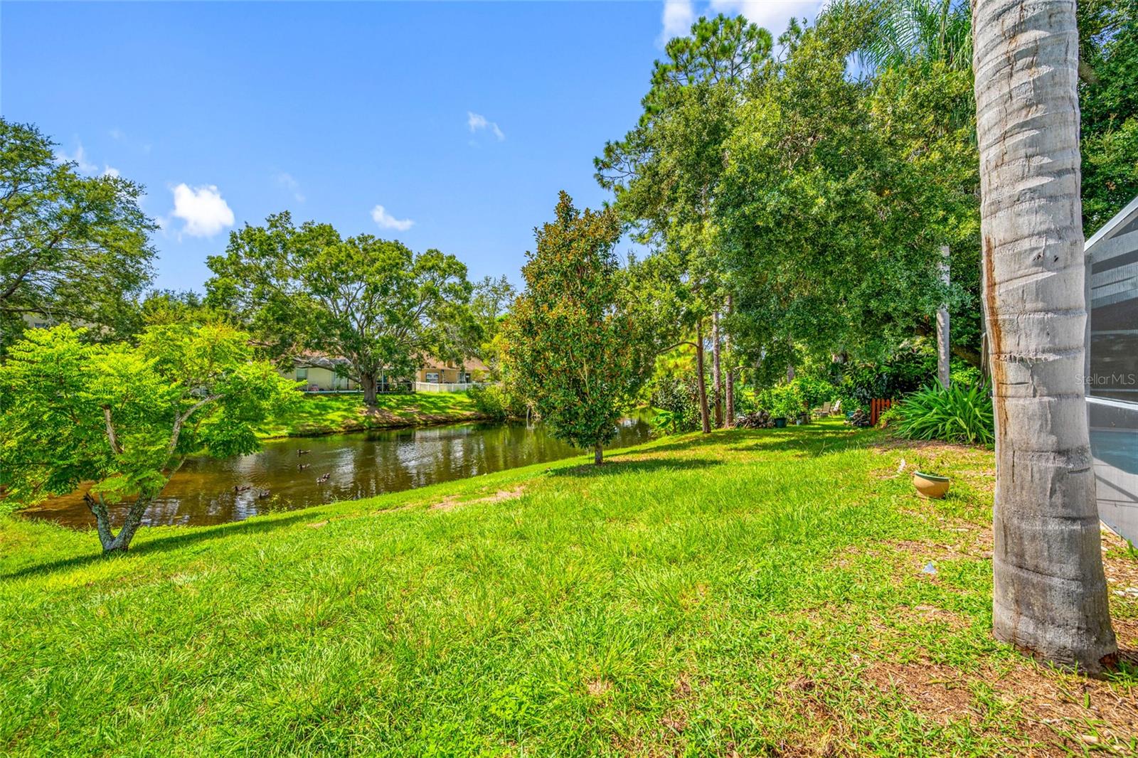 11925 Cedarfield Dr Property Photo 60