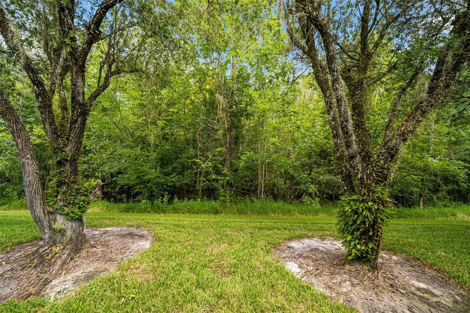 18171 Paradise Point Dr Property Photo 16
