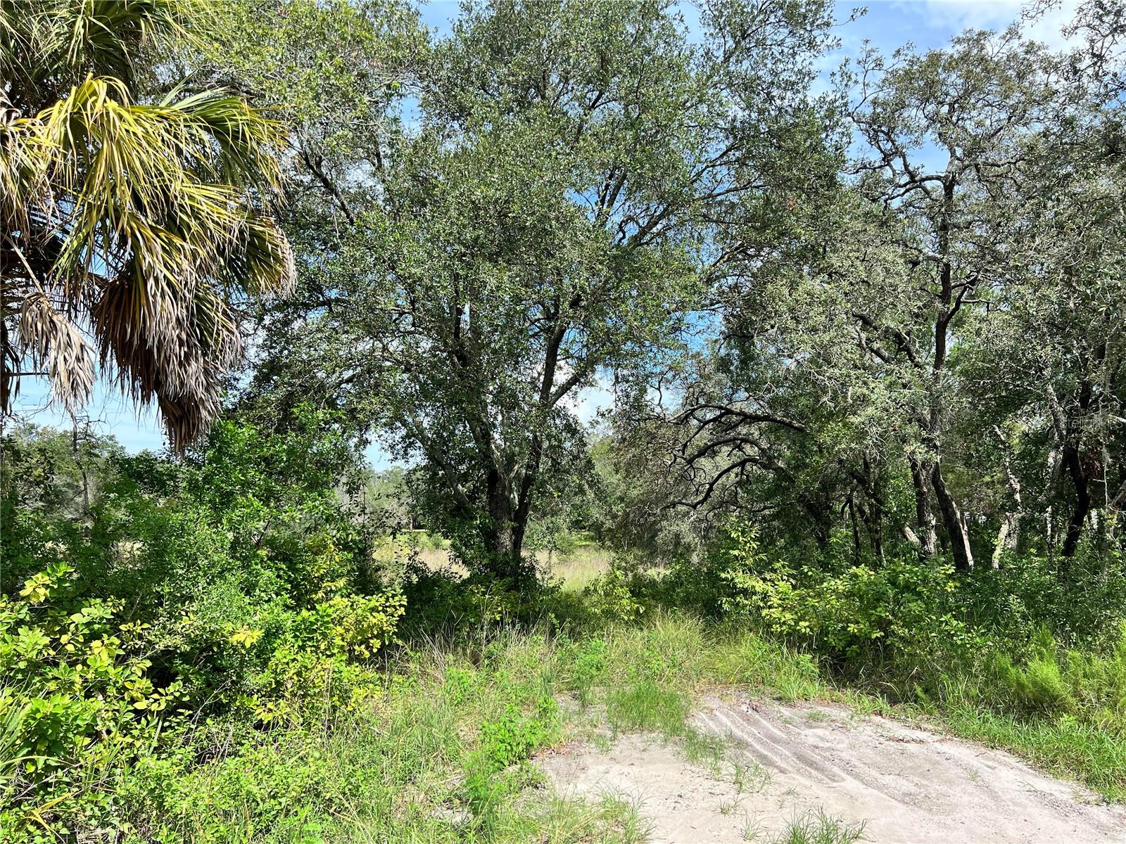 13339 Vivian Ln Property Photo 2
