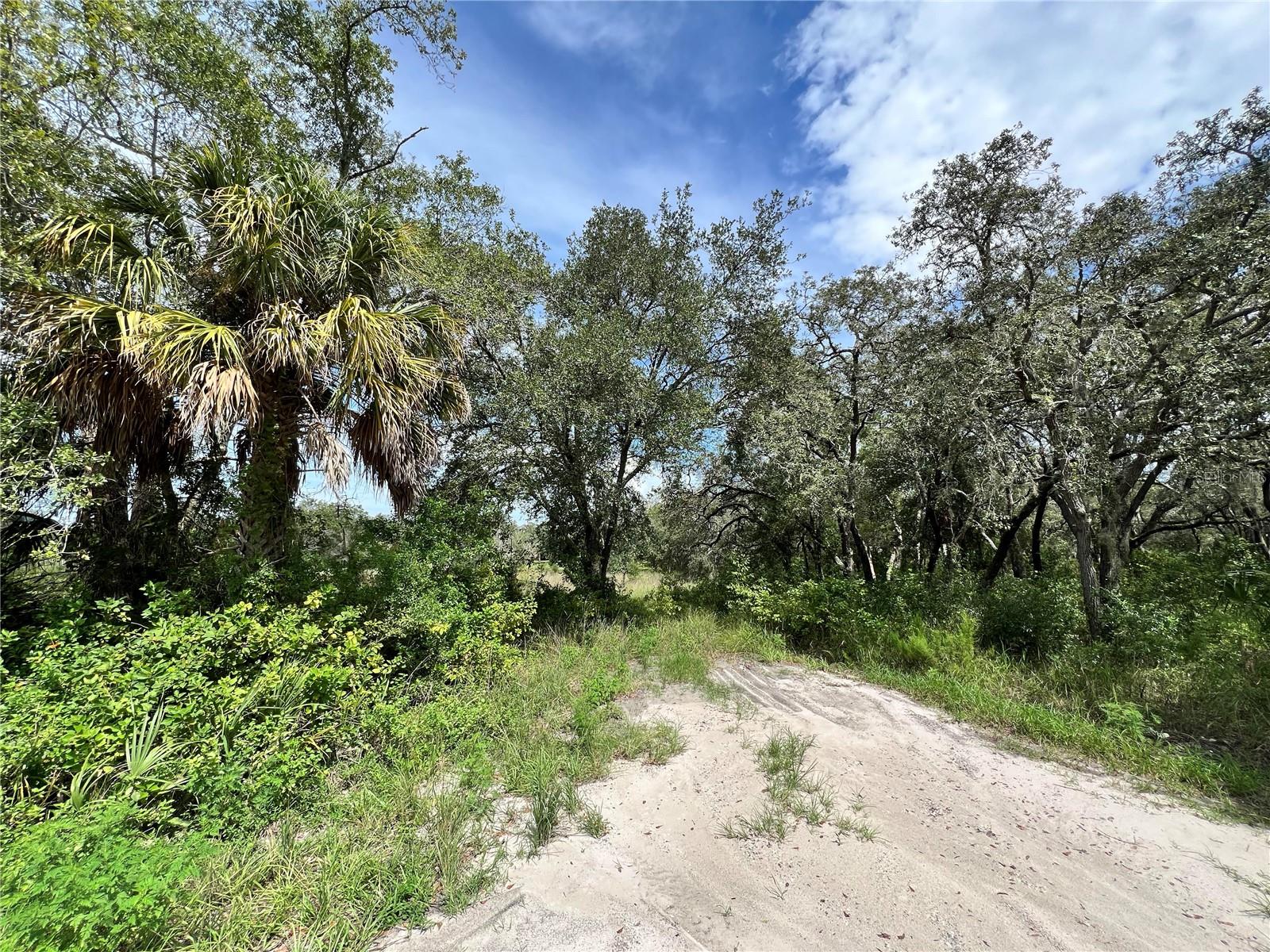13339 Vivian Ln Property Photo 3