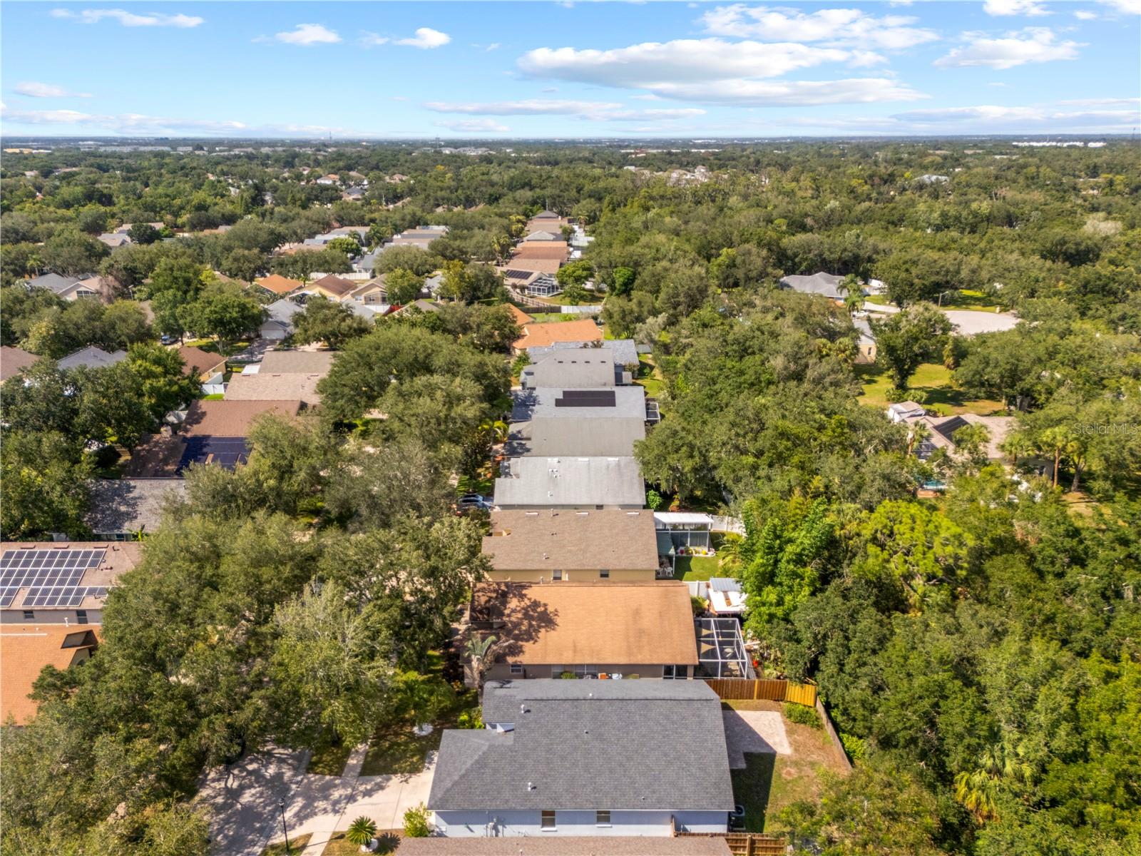 10148 Somersby Dr Property Photo 53
