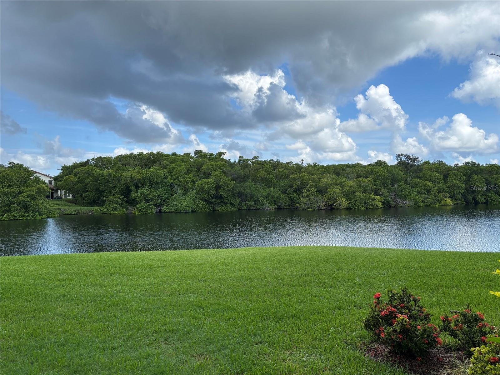 14837 Feather Cove Ln #45 Property Photo 49
