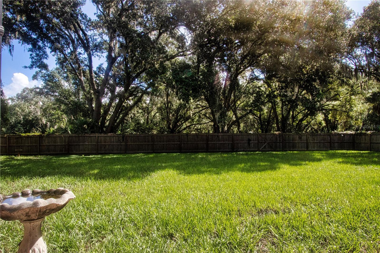 1605 Butch Cassidy Trl Property Photo 43