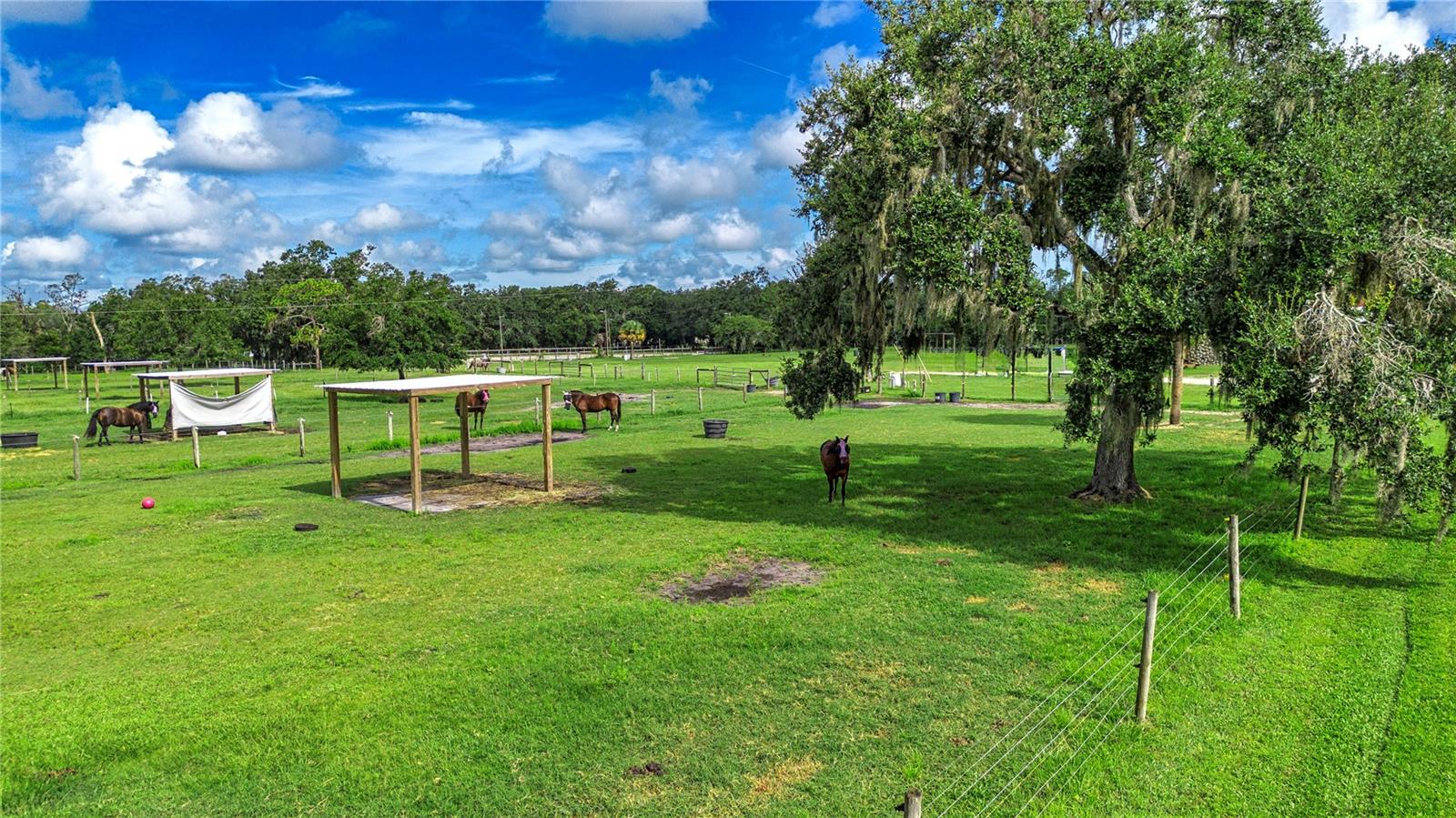 1605 Butch Cassidy Trl Property Photo 69