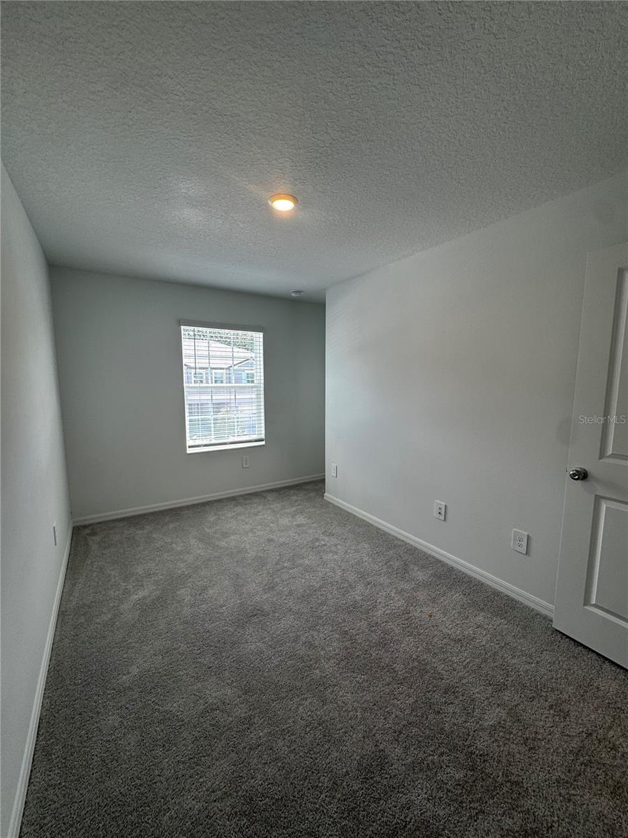 10149 Trumpet Honeysuckle Way Property Photo 15