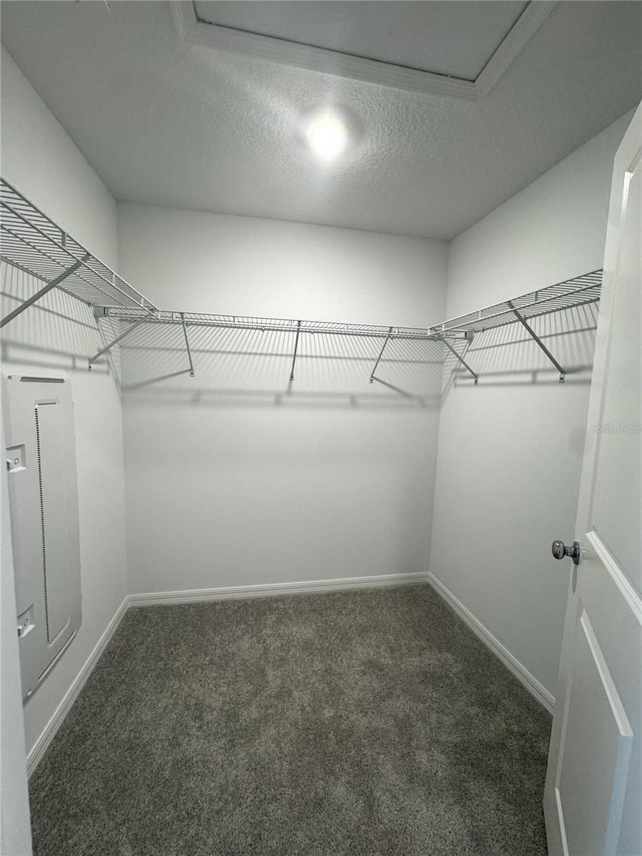 10149 Trumpet Honeysuckle Way Property Photo 24