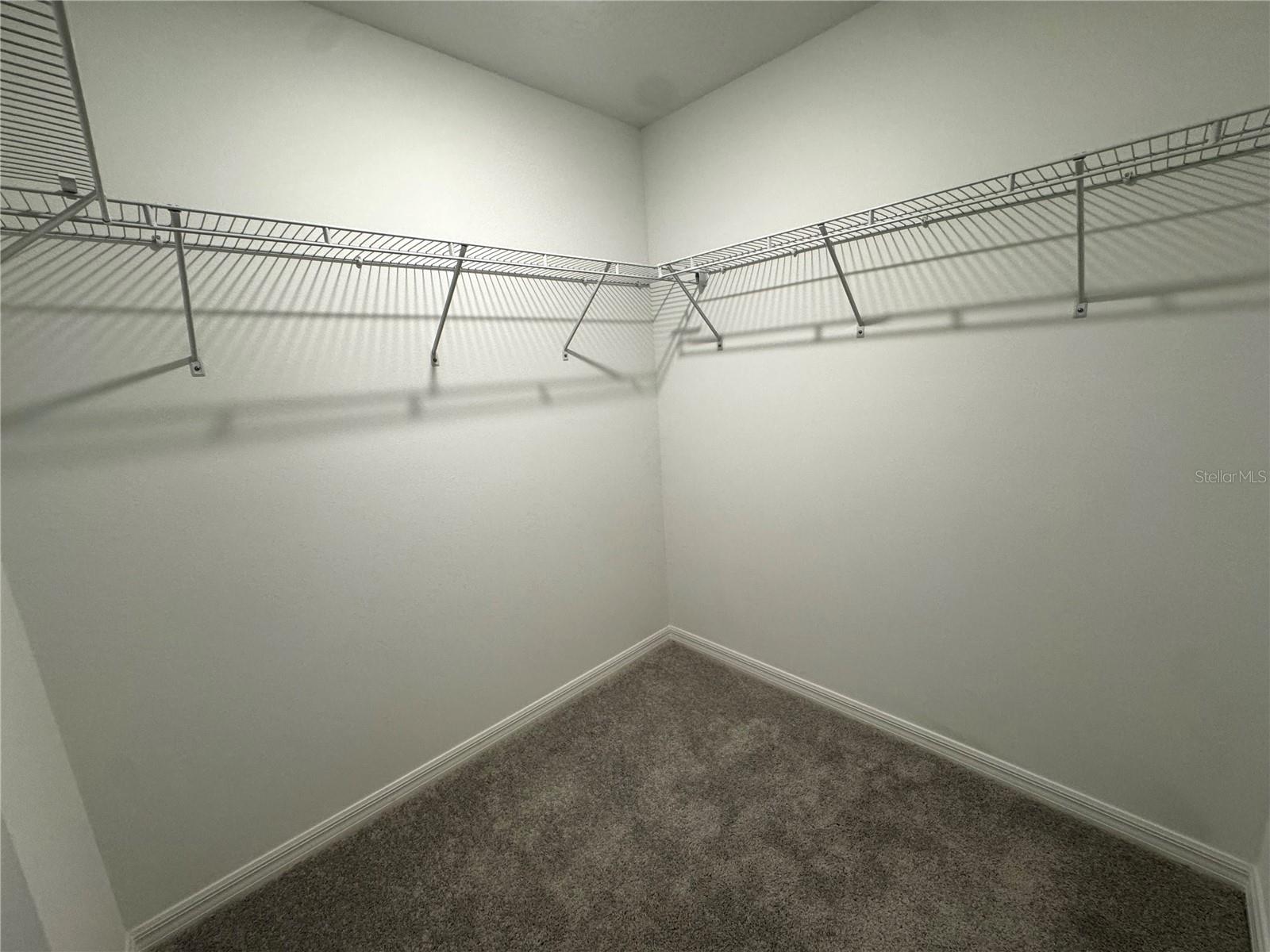 10149 Trumpet Honeysuckle Way Property Photo 25