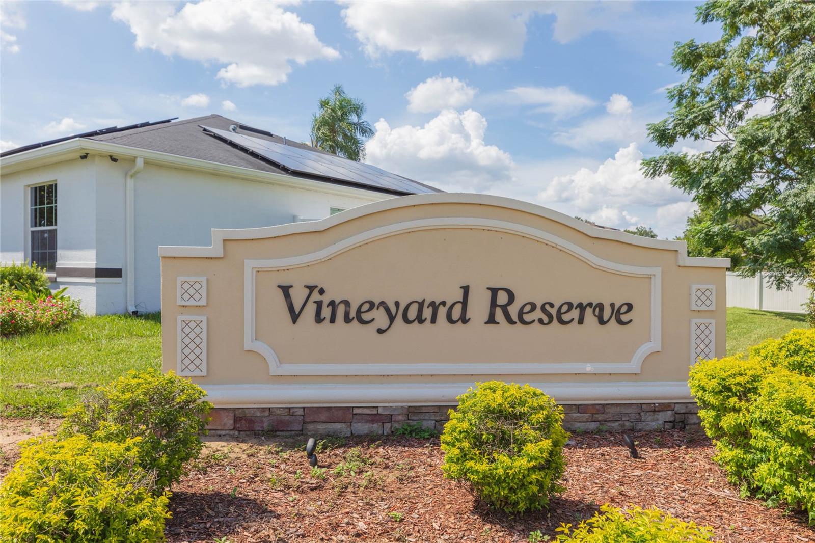 719 Vineyard Reserve Ct Property Photo 37