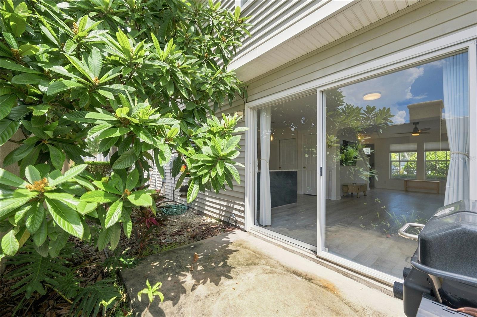 13158 Thoroughbred Loop Property Photo 37
