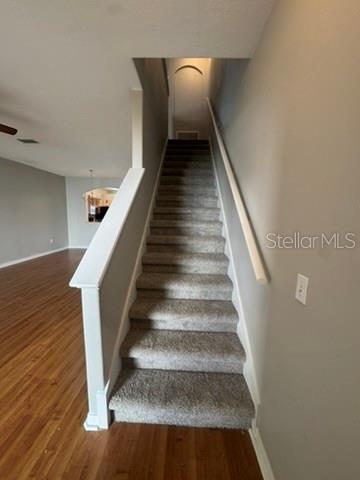 3404 High Hampton Cir Property Photo 8