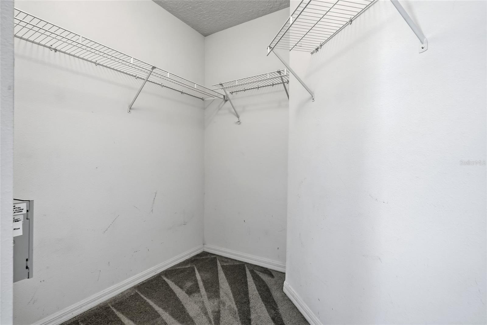 25928 Crippen Dr Property Photo 21